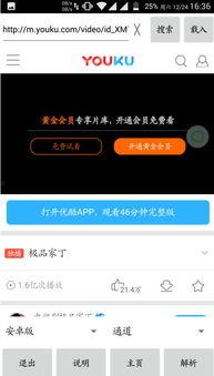 小纯洁免费视频,揭秘网络短视频的魅力与风险