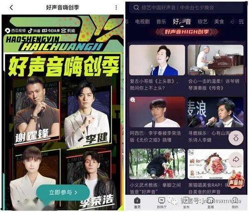 今日德州爆料新闻视频大全,视频大全揭示热点事件