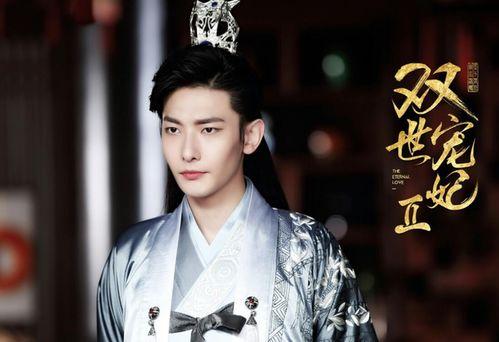 王瑞昌属于几线明星,崛起于演艺圈的新星，一线明星的潜力股