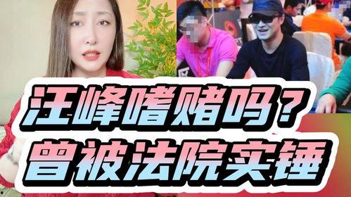 老汪爆料赌博视频在线观看,揭秘赌博视频，在线观看惊心动魄瞬间