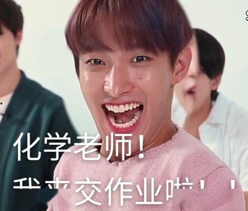 娱乐吃瓜酱丫头文学,娱乐圈的甜蜜瓜果